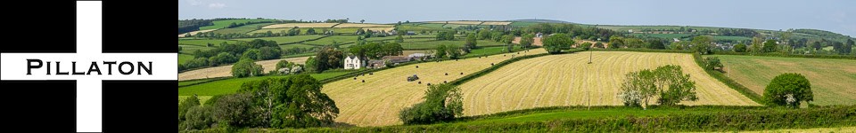 Pillaton from the SW, August 2017