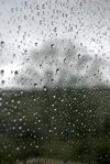 Rain on the window